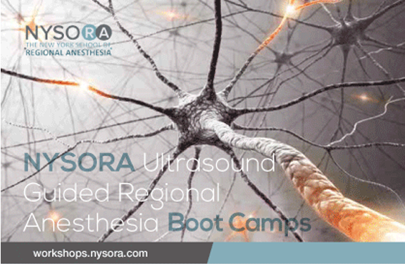 Ultrasound Guided Regional Anesthesia Boot Camps