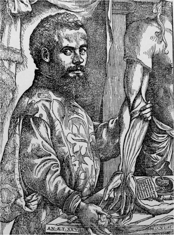 Andreas Vesalius