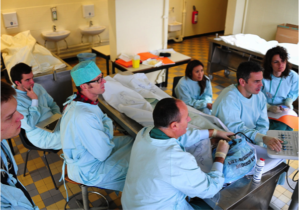 From left to right: Klaas Buyse MD, Ilvana Vukovic MD, Admir Hadzic MD, Xavier Sala-Blanch MD, Emily Lynn MD, Jeff Gadsden MD and Catherine Vandeptte MD in Leuven, January 2012. 