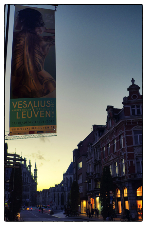 Vesalius posters throughout Leuven, Belgium