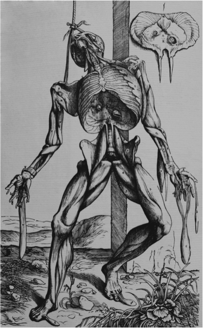 An illustration of a corpse hanging off gallows poll