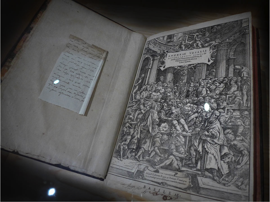 From the Vesalius Exhibition, Leuven, Belgium