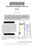 TRANSVERSUS ABDOMINIS PLANE (TAP) BLOCK