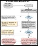 Flowcharts - Ultrasound-Guided Techniques